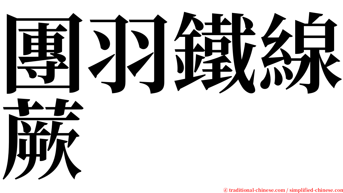 團羽鐵線蕨 serif font
