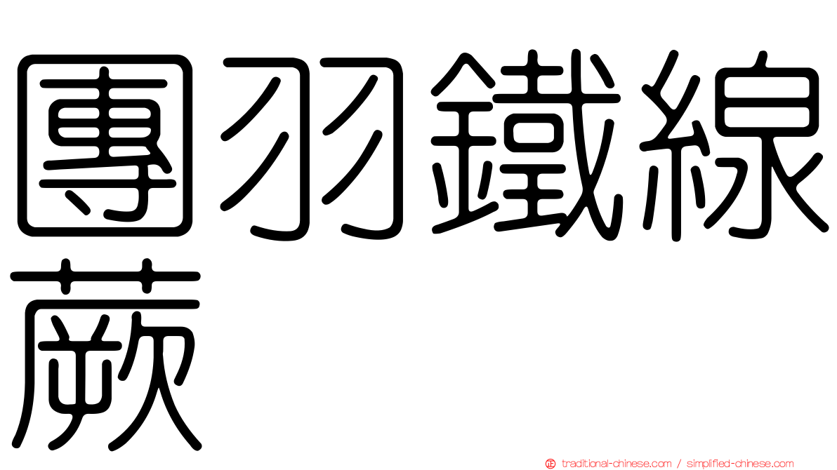 團羽鐵線蕨