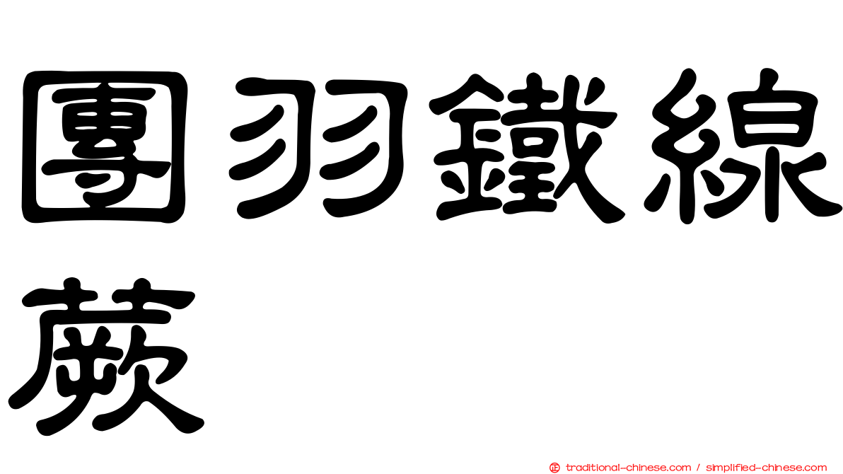 團羽鐵線蕨