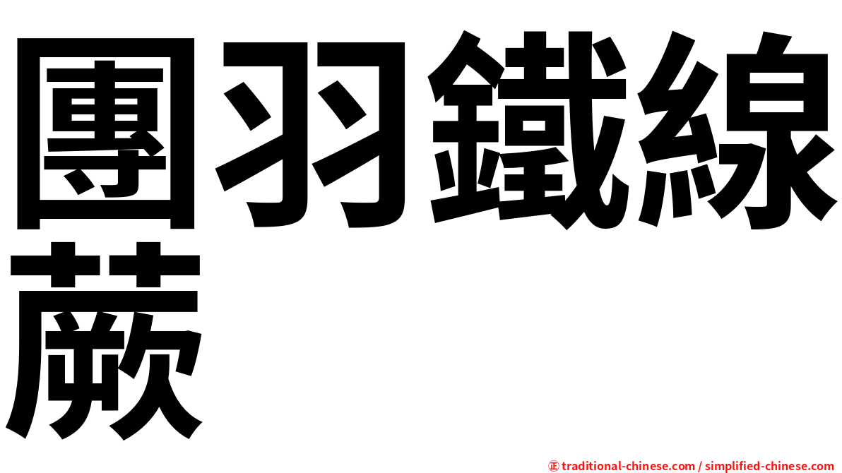團羽鐵線蕨