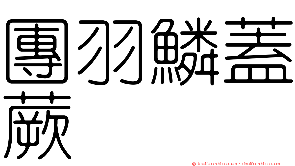 團羽鱗蓋蕨