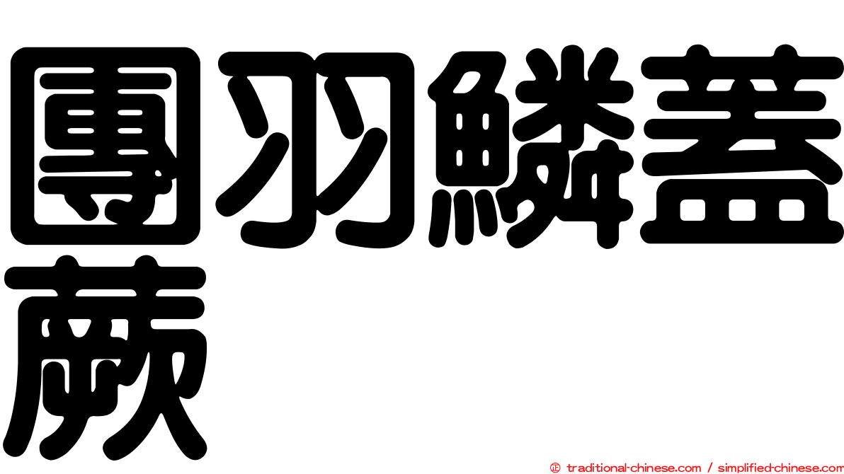 團羽鱗蓋蕨