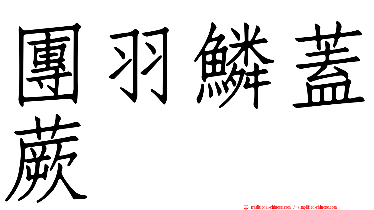 團羽鱗蓋蕨