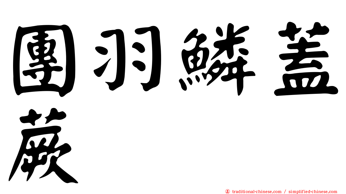 團羽鱗蓋蕨