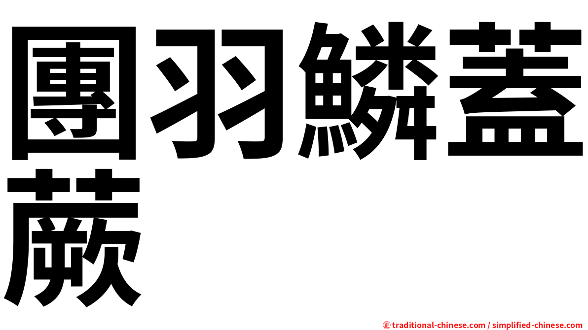 團羽鱗蓋蕨