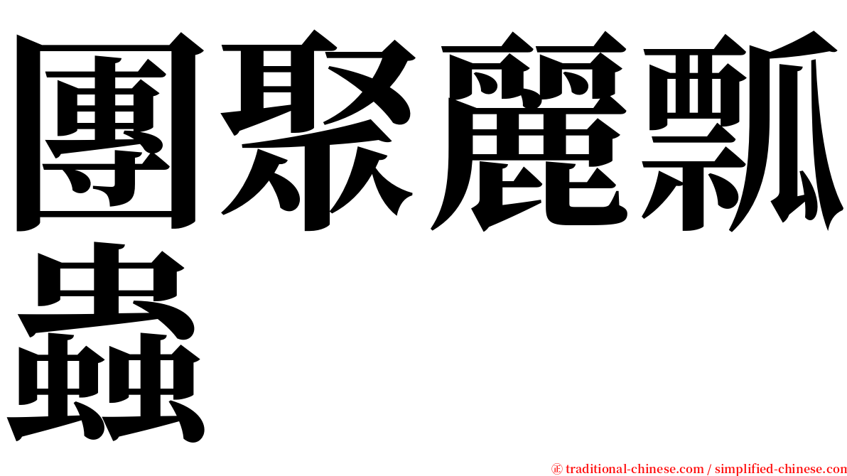 團聚麗瓢蟲 serif font
