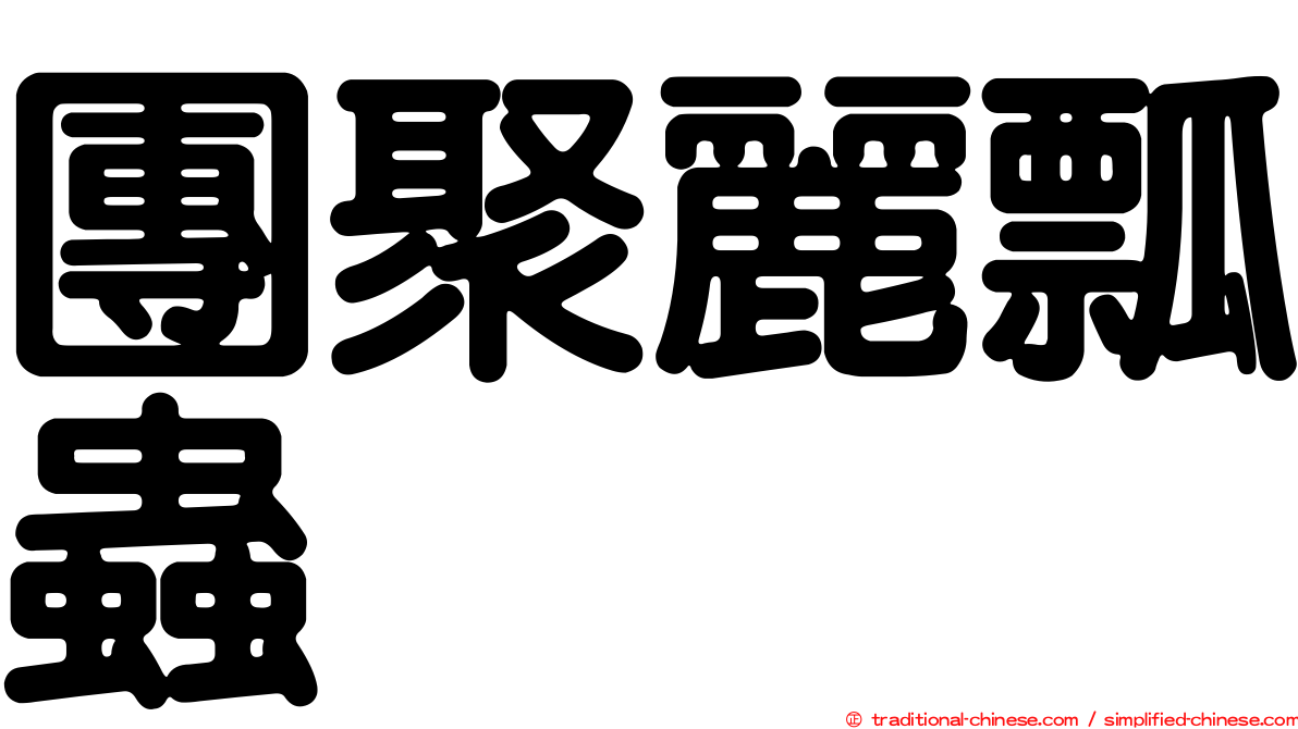 團聚麗瓢蟲