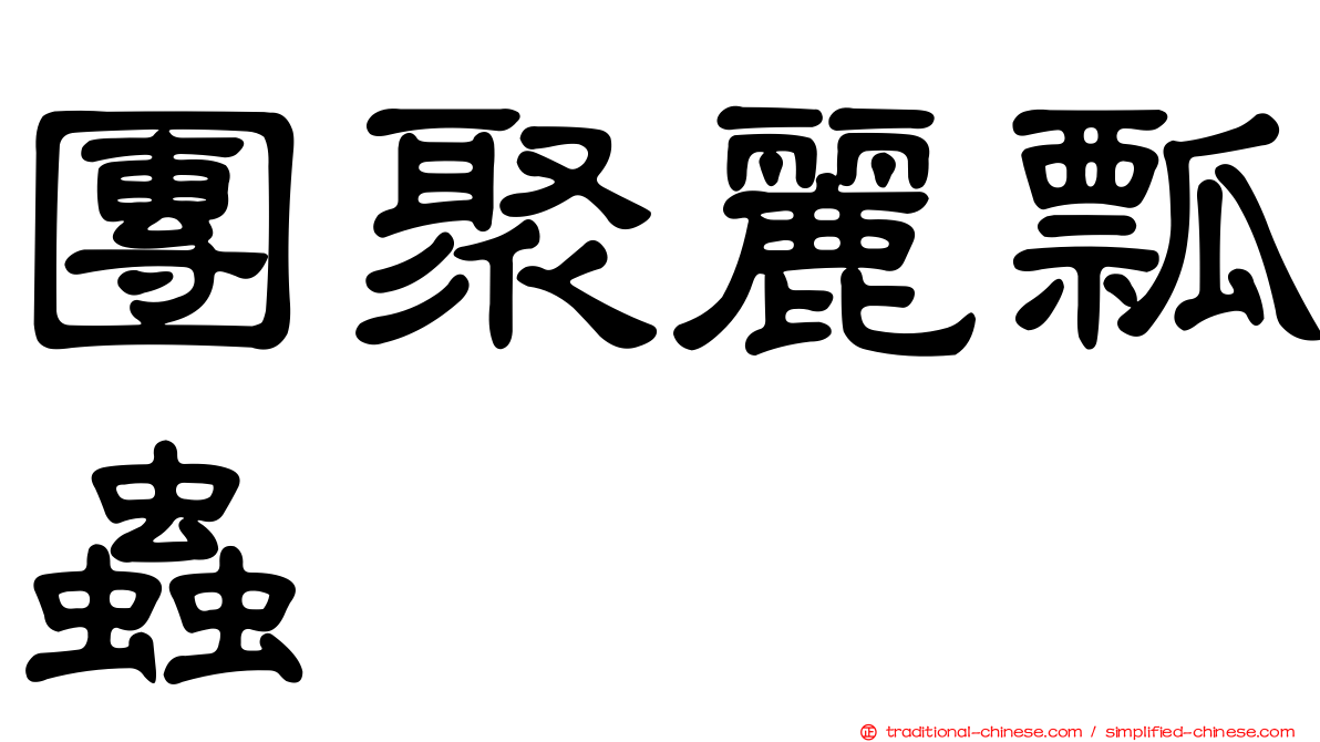 團聚麗瓢蟲