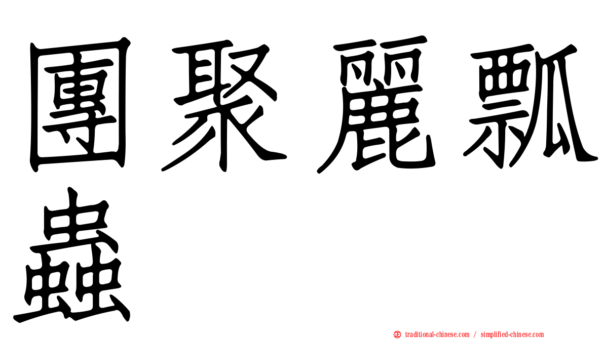 團聚麗瓢蟲