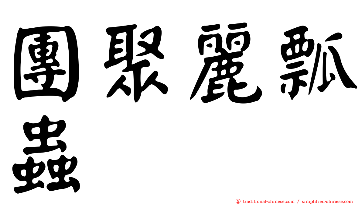 團聚麗瓢蟲