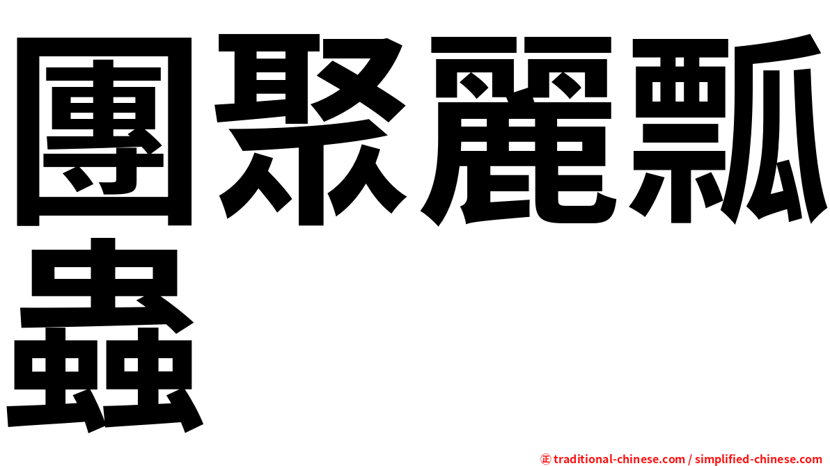 團聚麗瓢蟲