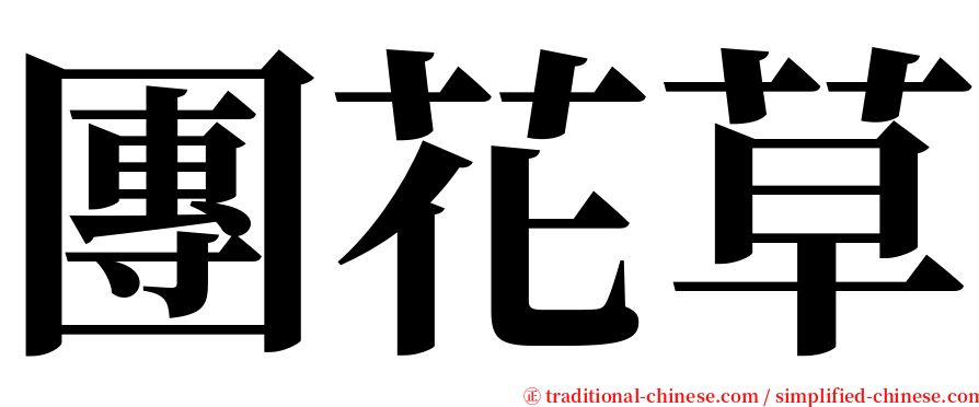 團花草 serif font
