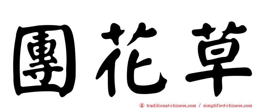 團花草