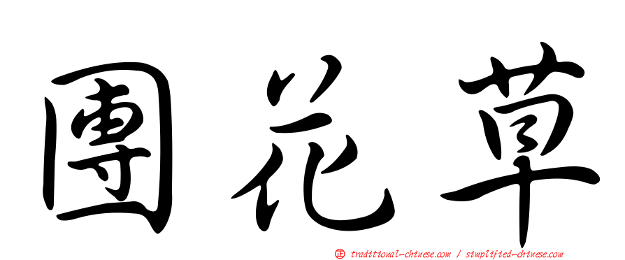 團花草