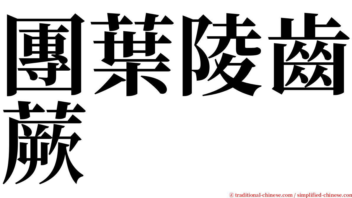 團葉陵齒蕨 serif font