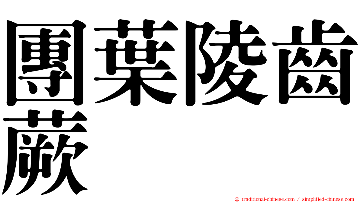 團葉陵齒蕨