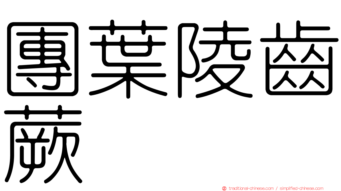 團葉陵齒蕨