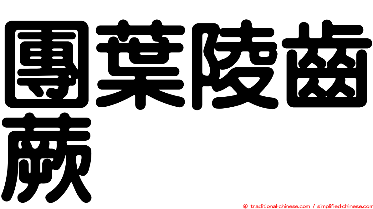團葉陵齒蕨