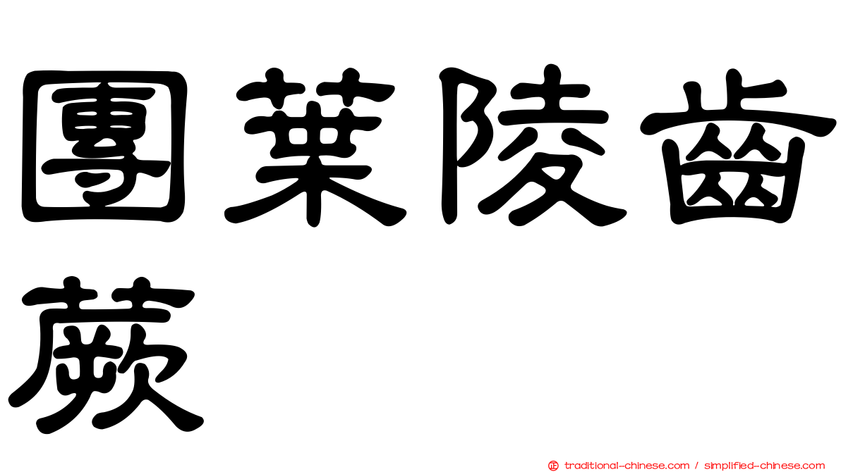 團葉陵齒蕨