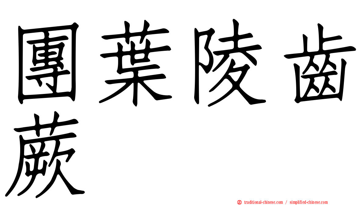 團葉陵齒蕨