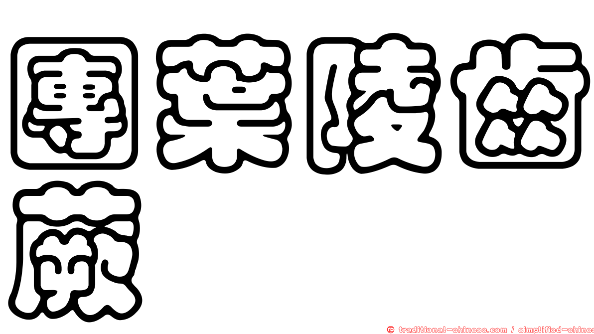 團葉陵齒蕨