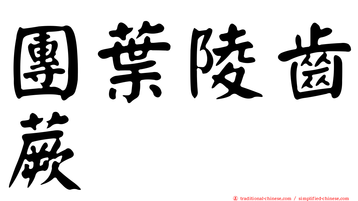 團葉陵齒蕨