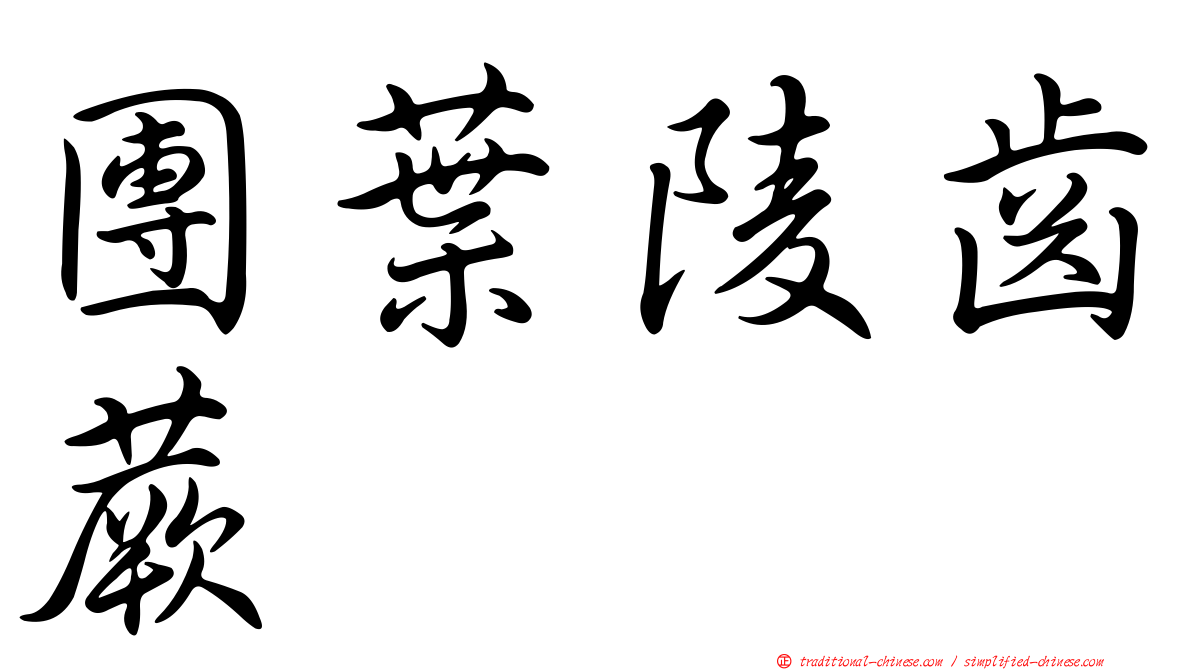 團葉陵齒蕨