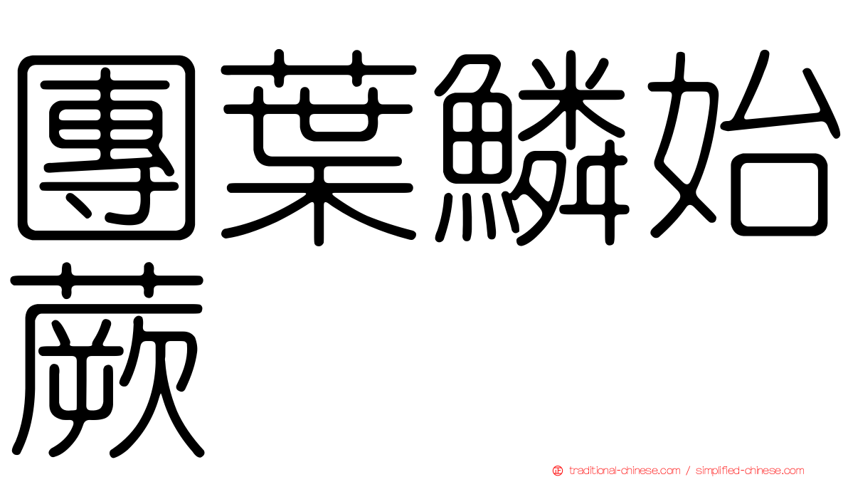 團葉鱗始蕨