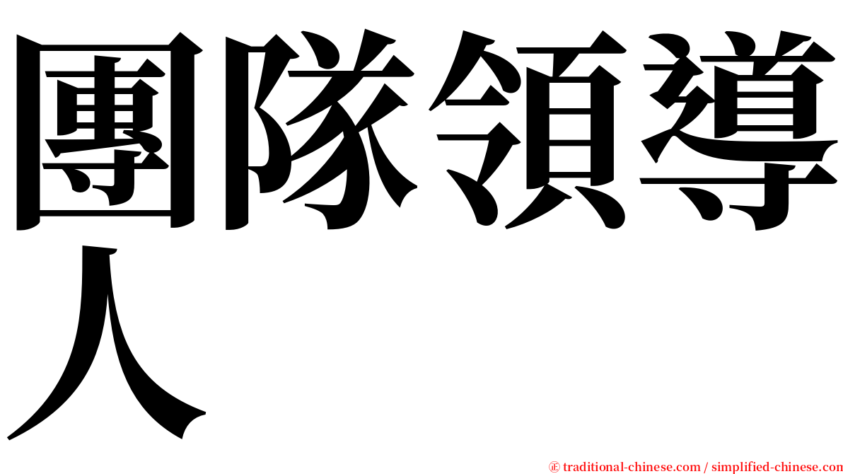團隊領導人 serif font