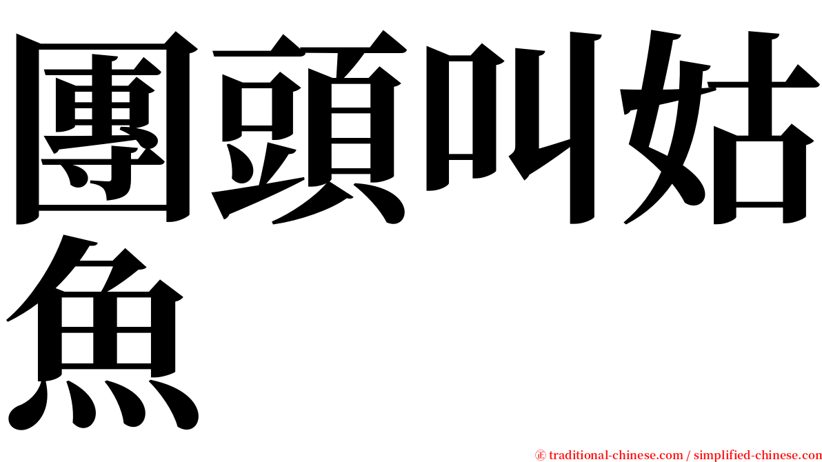 團頭叫姑魚 serif font