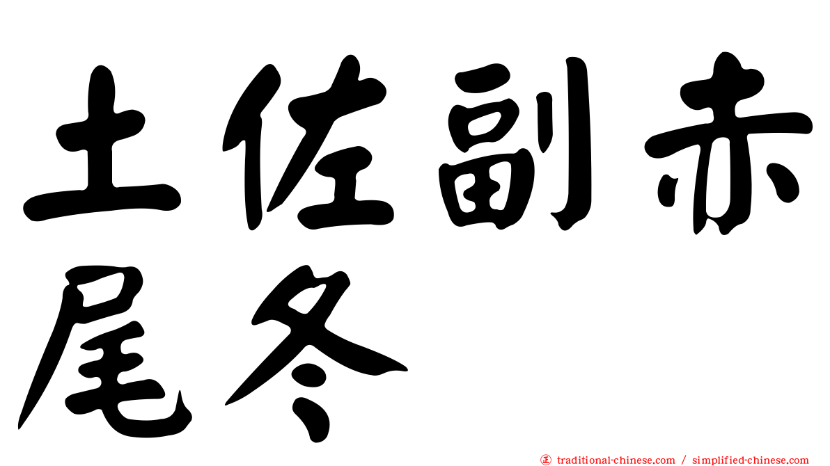 土佐副赤尾冬