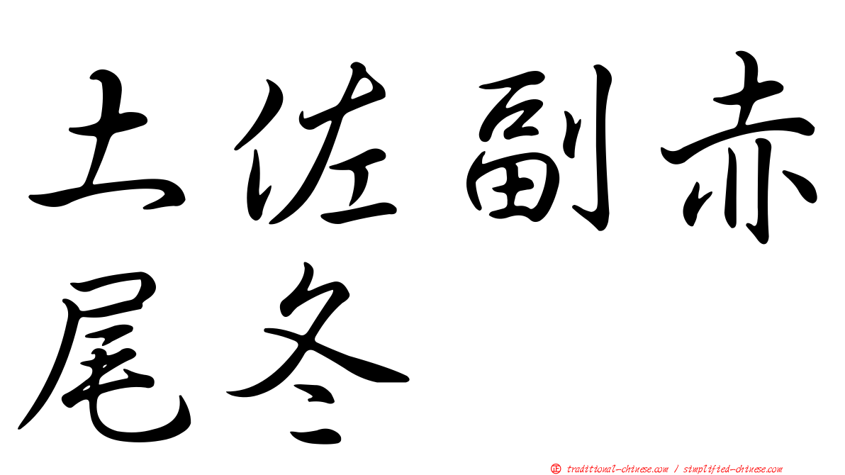 土佐副赤尾冬