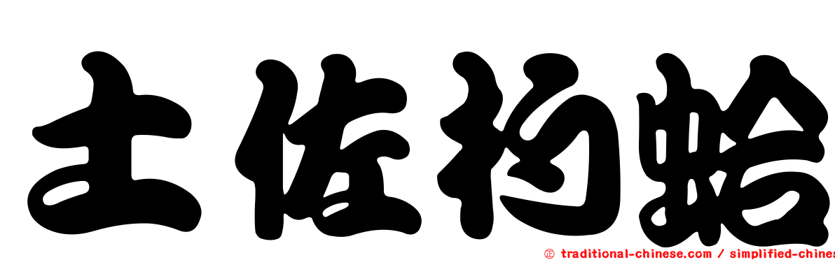土佐杓蛤