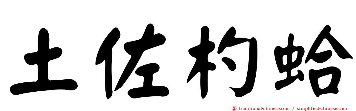 土佐杓蛤