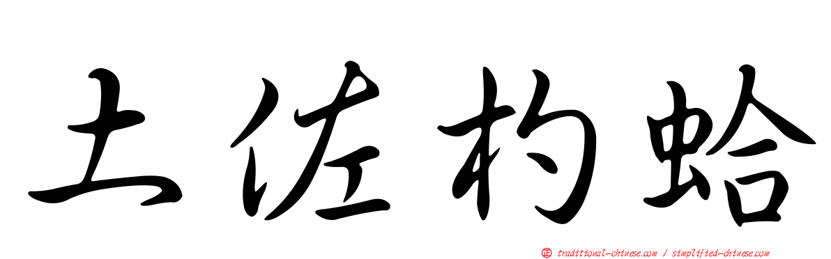 土佐杓蛤