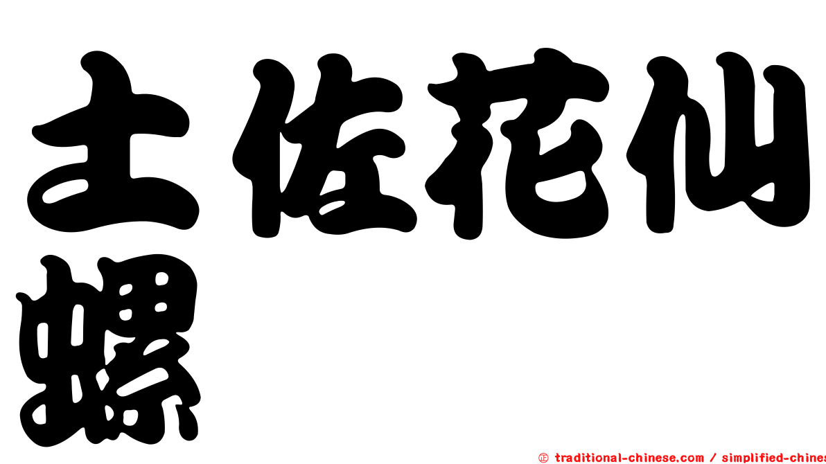 土佐花仙螺