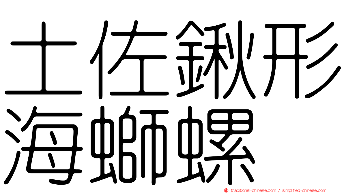 土佐鍬形海螄螺