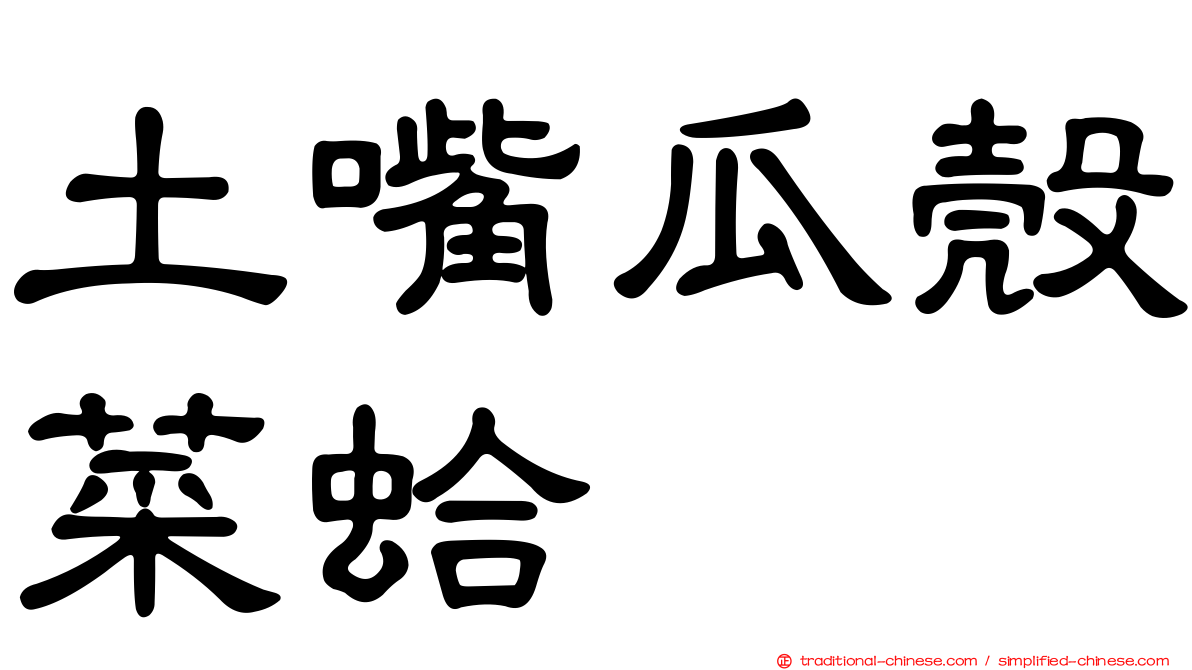 土嘴瓜殼菜蛤