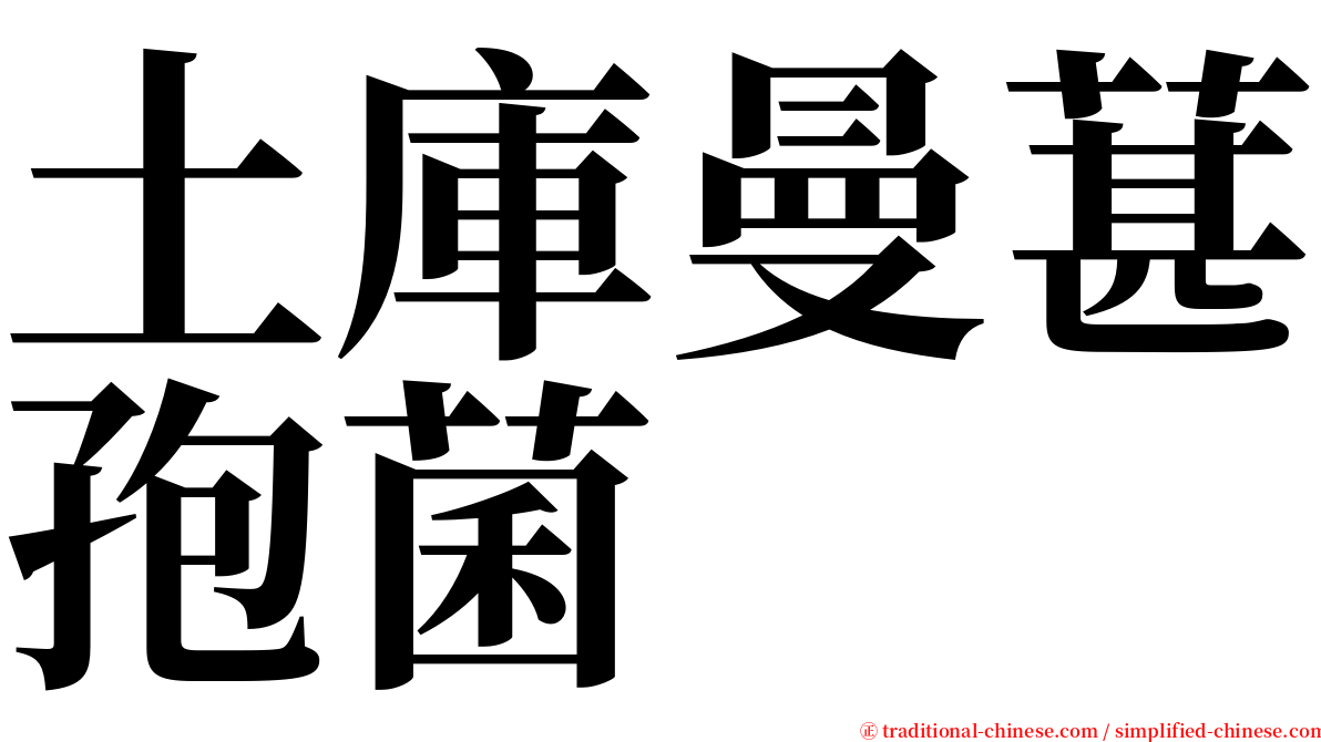 土庫曼葚孢菌 serif font