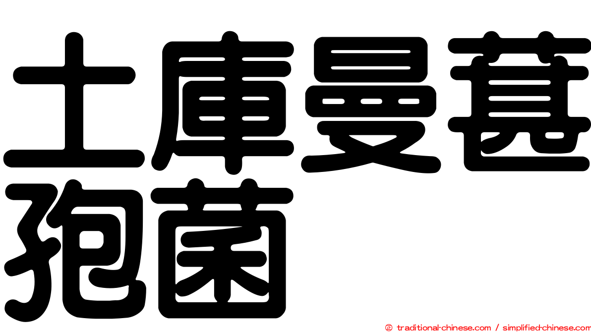 土庫曼葚孢菌
