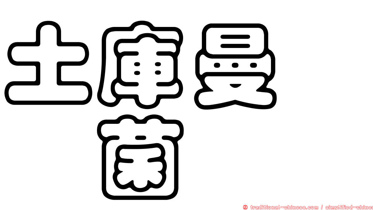 土庫曼葚孢菌
