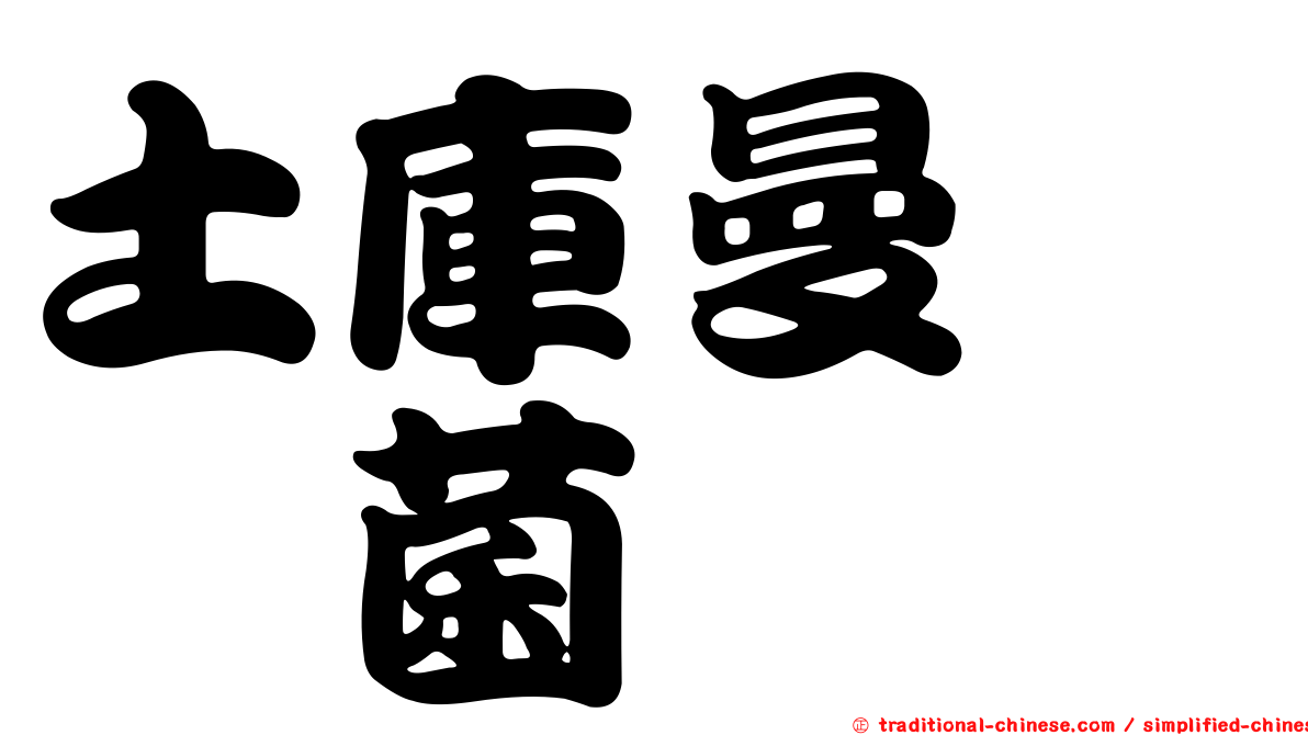 土庫曼葚孢菌