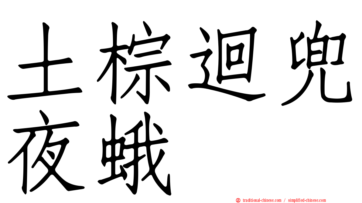 土棕迴兜夜蛾