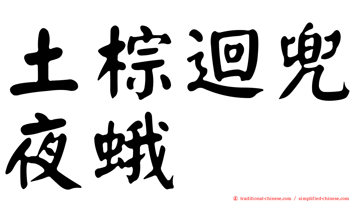 土棕迴兜夜蛾