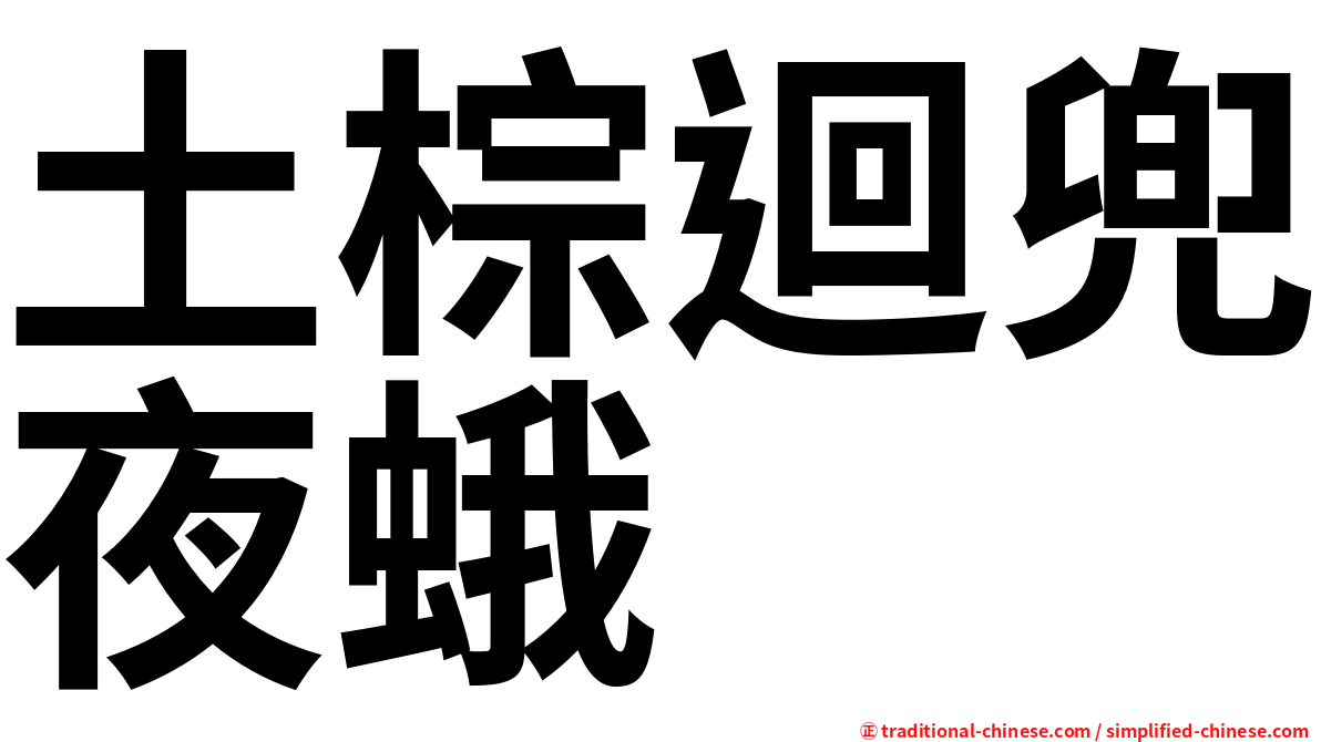 土棕迴兜夜蛾