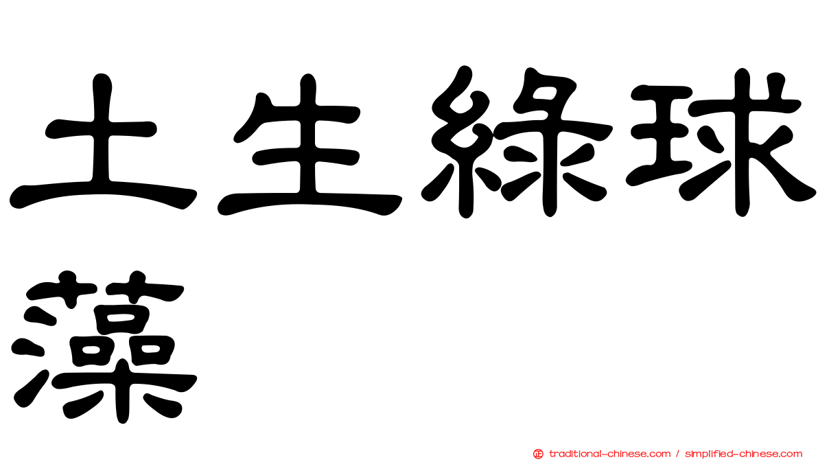 土生綠球藻