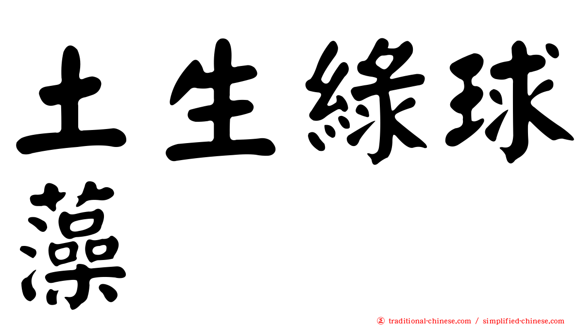 土生綠球藻