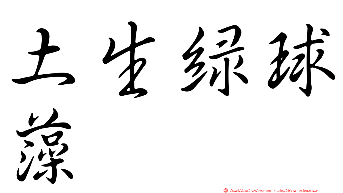 土生綠球藻