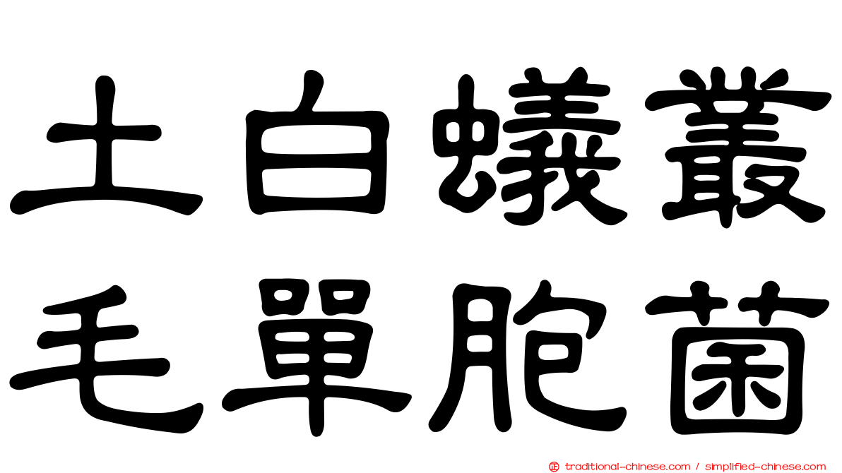 土白蟻叢毛單胞菌