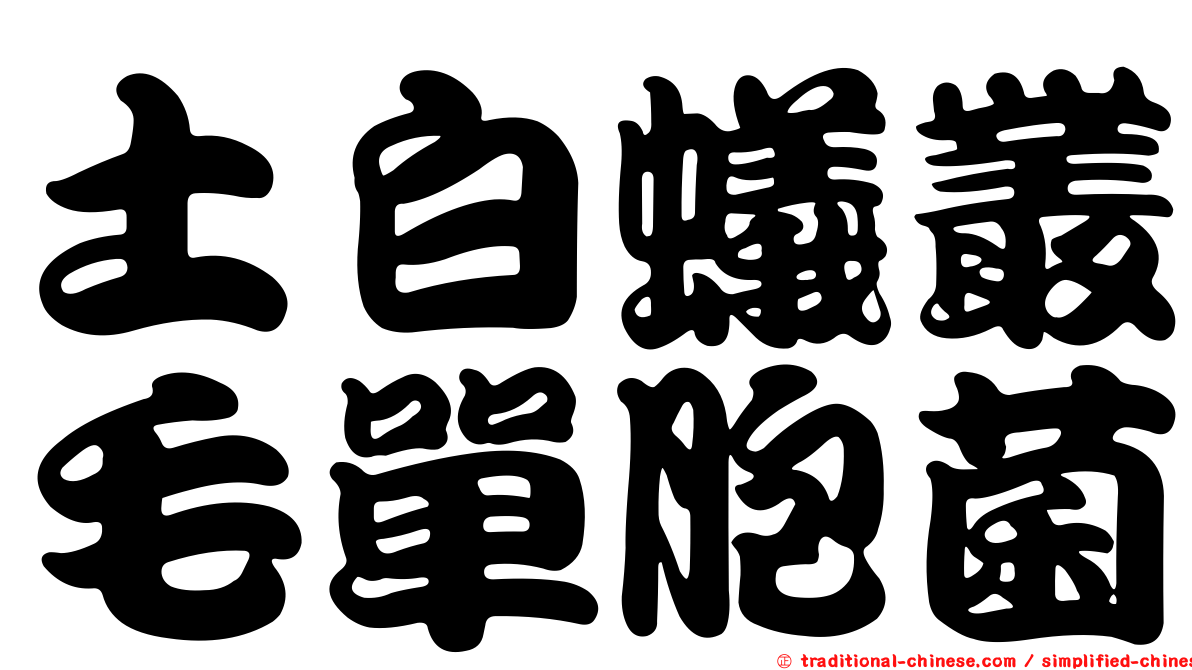 土白蟻叢毛單胞菌